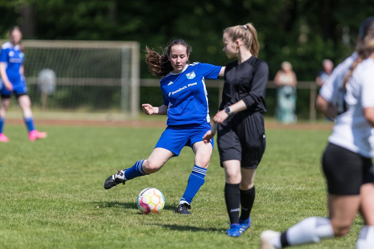 Bild 194 - wBJ VfL Pinneberg - Harksheide : Ergebnis: 2:1